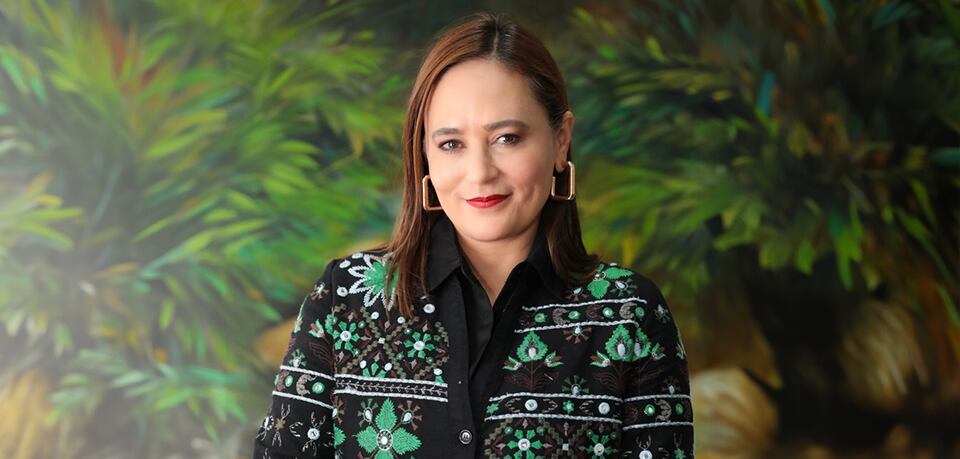 La viceministra de Hacienda, Juanita Villaveces, hizo el anuncio en la Cámara de Representantes.