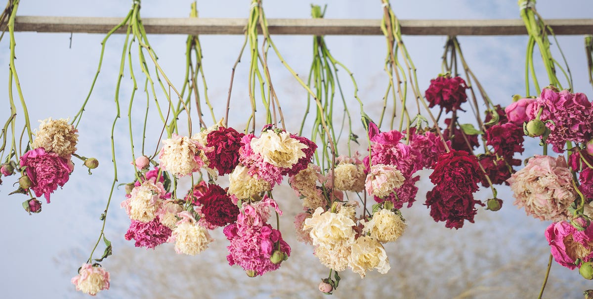 Make beautiful dried flowers in four simple steps