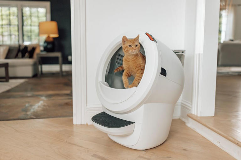 Litter-robot 4 Review: A Self-cleaning Litter Box That Doesn’t Stink