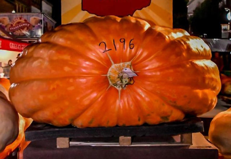 Barnesville Pumpkin Festival’s King Pumpkin weighs in at 2,196 pounds