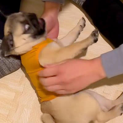 ムチムチ　パツパツ　着衣 
