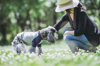 犬の『寿命が延びている』理由4つ 平均寿命は何歳ぐらい？長生きの秘訣までご紹介