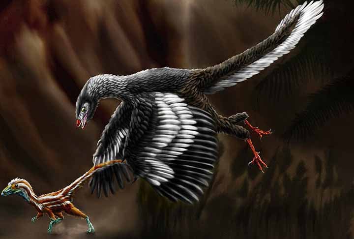 Cientistas descobrem ave pré-histórica que possuía dentes