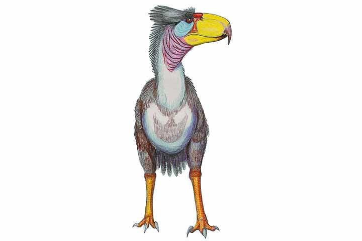 Cientistas descobrem ave pré-histórica que possuía dentes