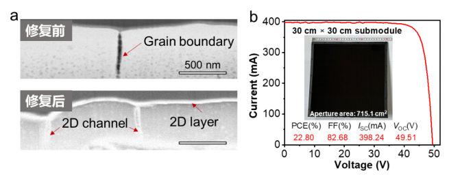 杂质修复后的钙钛矿薄膜及大面积高效率模组