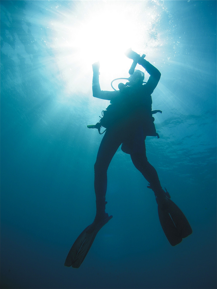 Oscar predictions: Best supporting actor - Did this race turn into