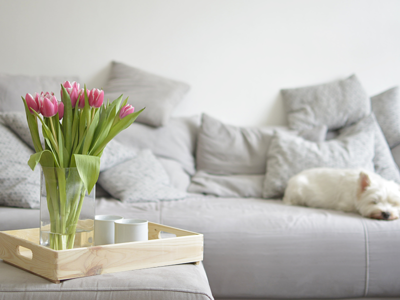 Muffiger Geruch? Mit diesen 3 Frische-Tricks riecht es Zuhause immer ...