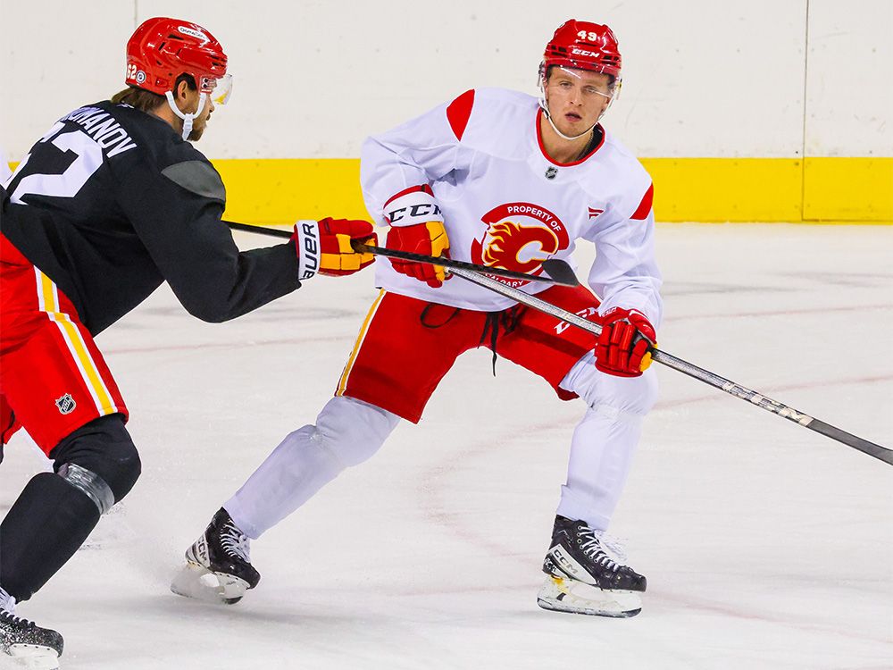 Calgary Flames sign Andrew Basha to threeyear entrylevel deal