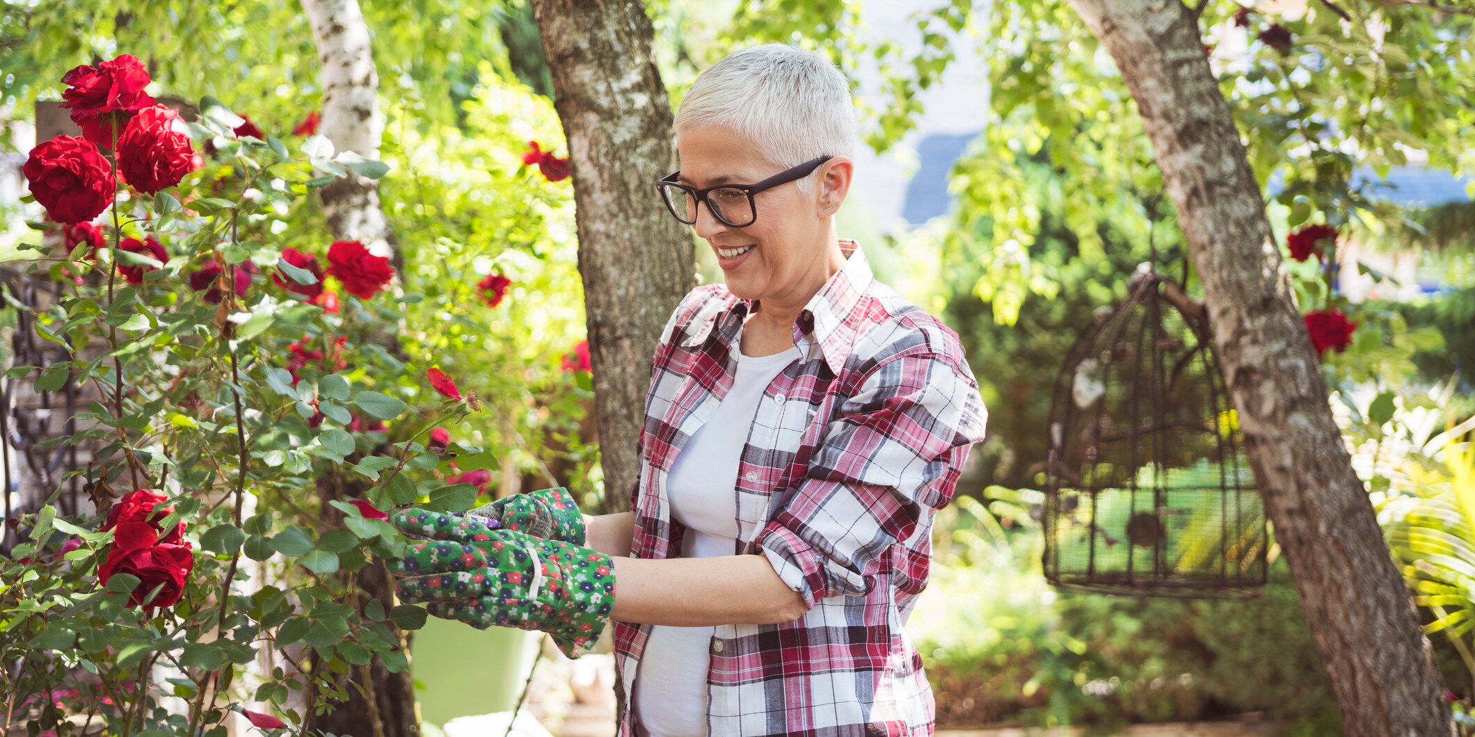 Typische Fehler beim Gärtnern Drei Dinge machen viele beim