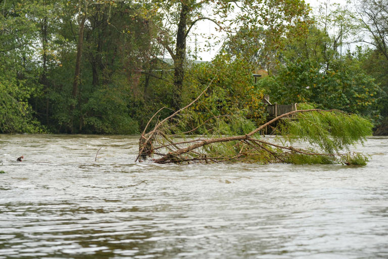 Rivers below Douglas, Watauga dams flood as TVA moves Helene water ...