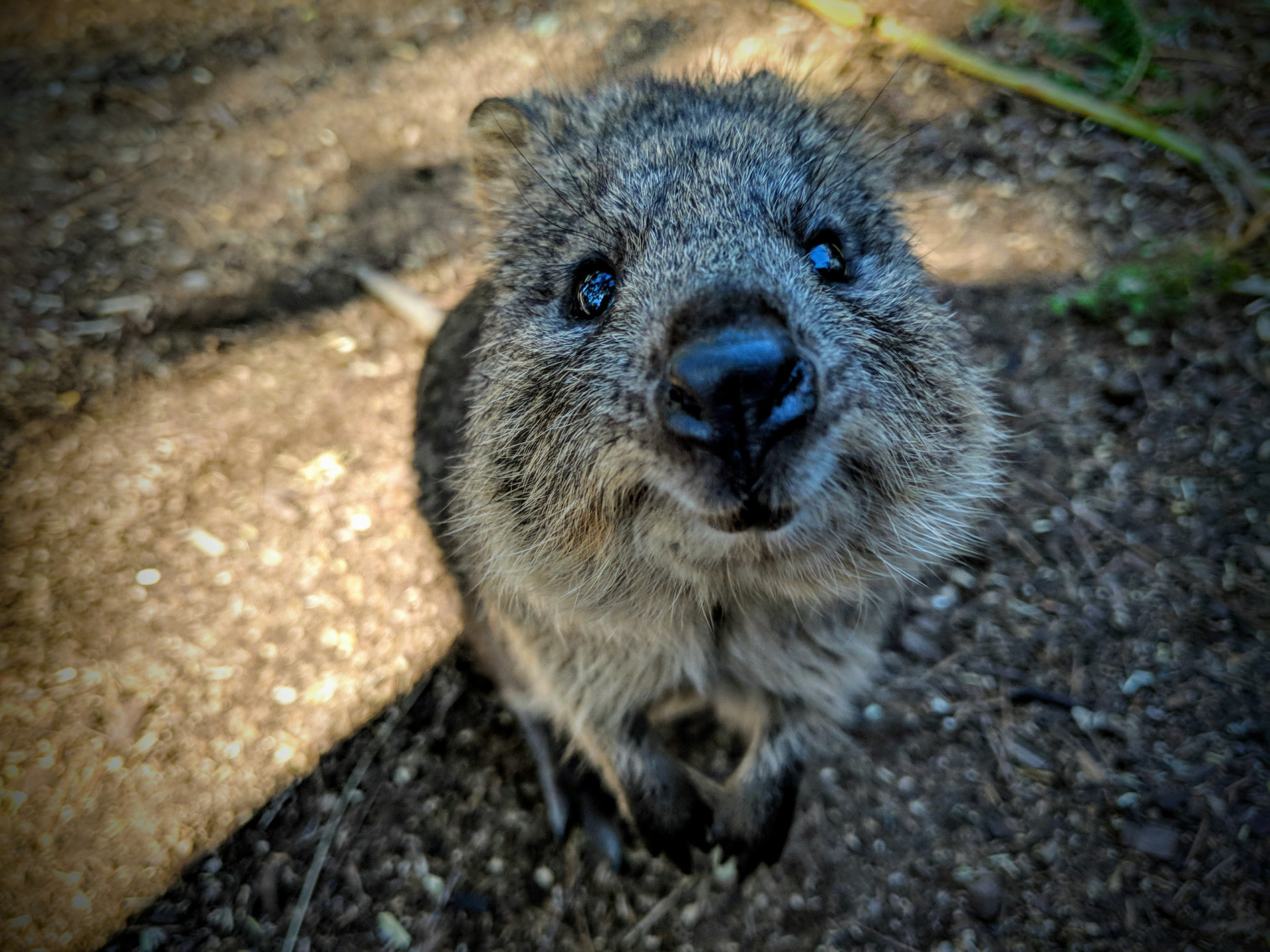 10 subtle manipulation tactics only experts notice