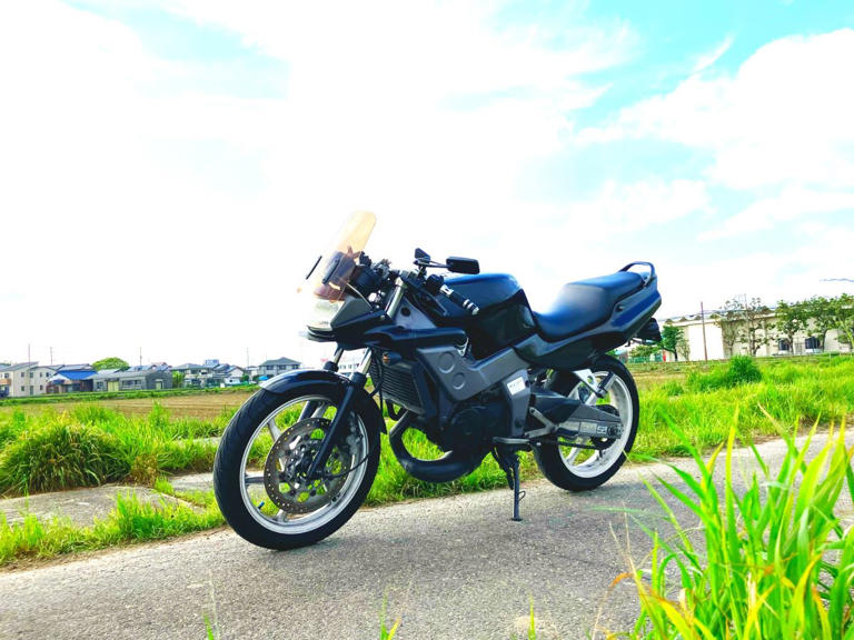 ホンダ 2st NSR125雷電 オンライン イタリアホンダ 希少！