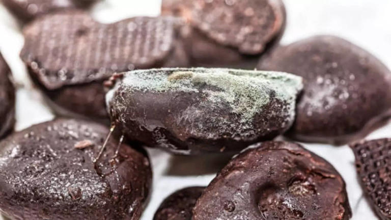 US FDA Recalls Chocolate Fudge In 41 States Due To Mold Contamination; Know It's Health Risks