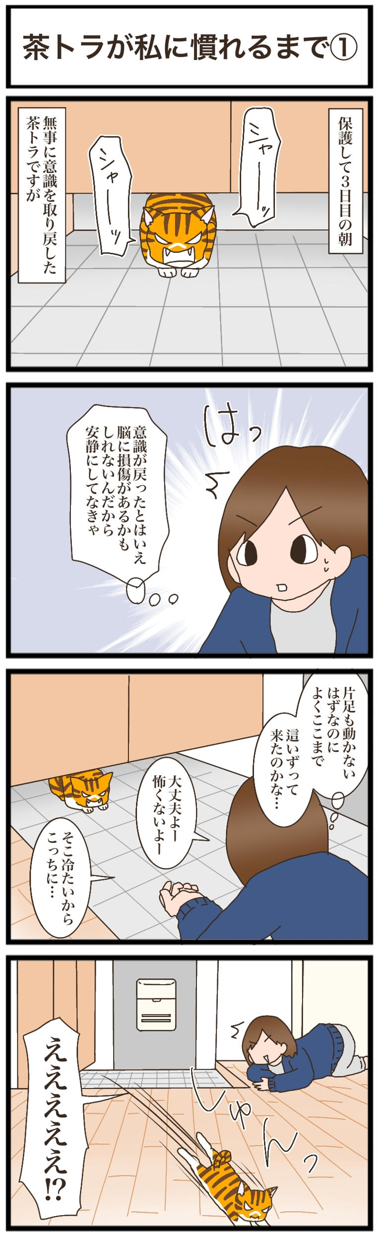 保護して3日、はじめて意識を取り戻した子猫。知らない家と人間