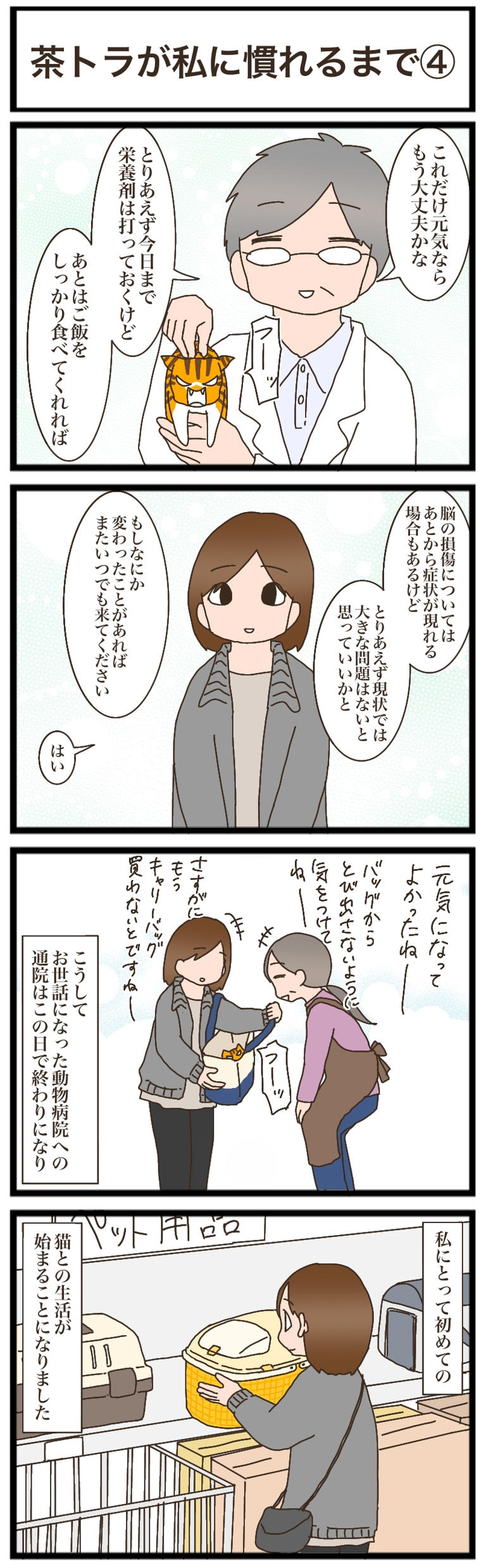 ねこねこネットワーク！ 81FUFEiKaBL._UF350,350_QL50_.jpg