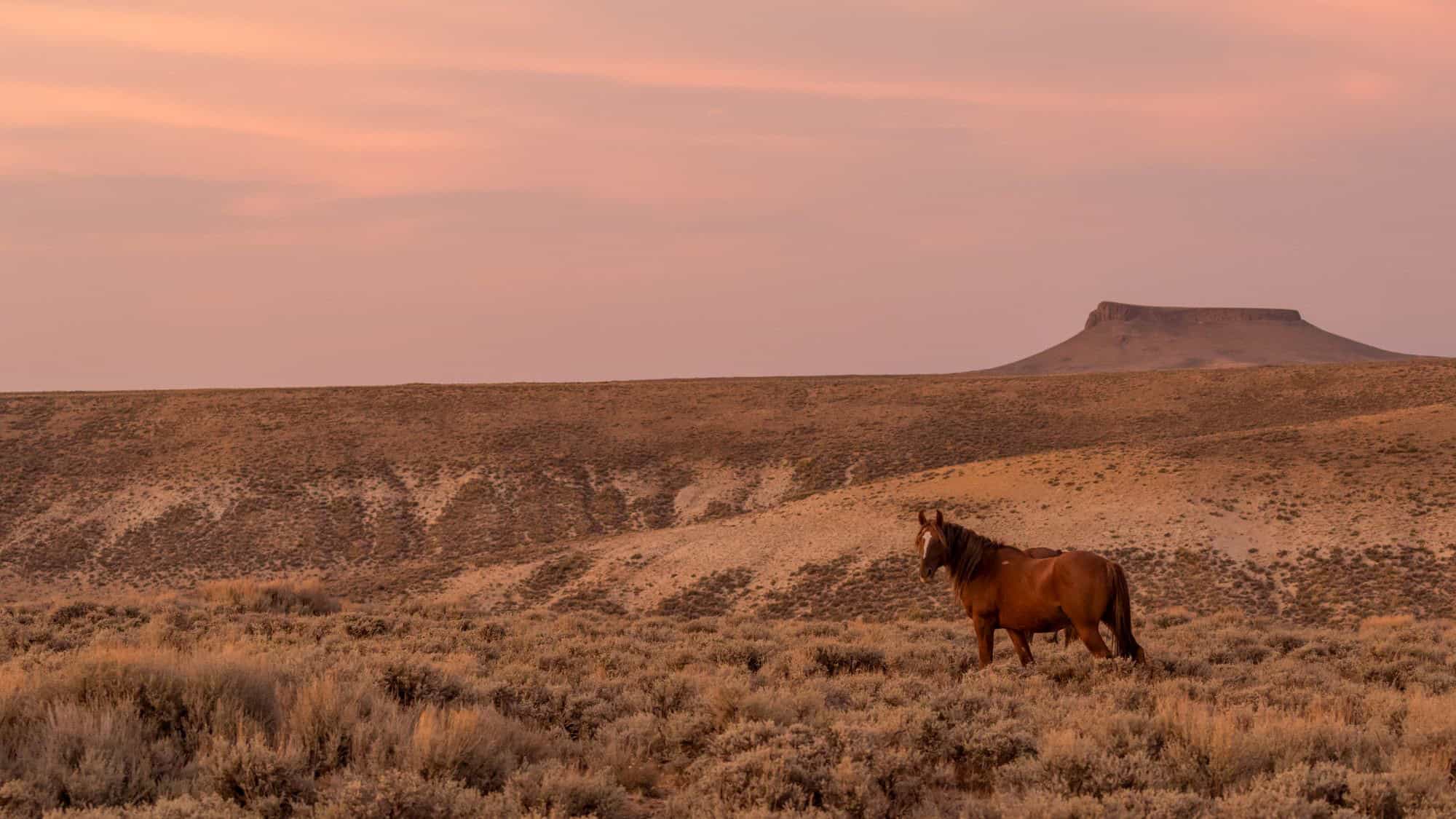 15 Unknown Desert Treasure Escapes Awaiting Your Discovery