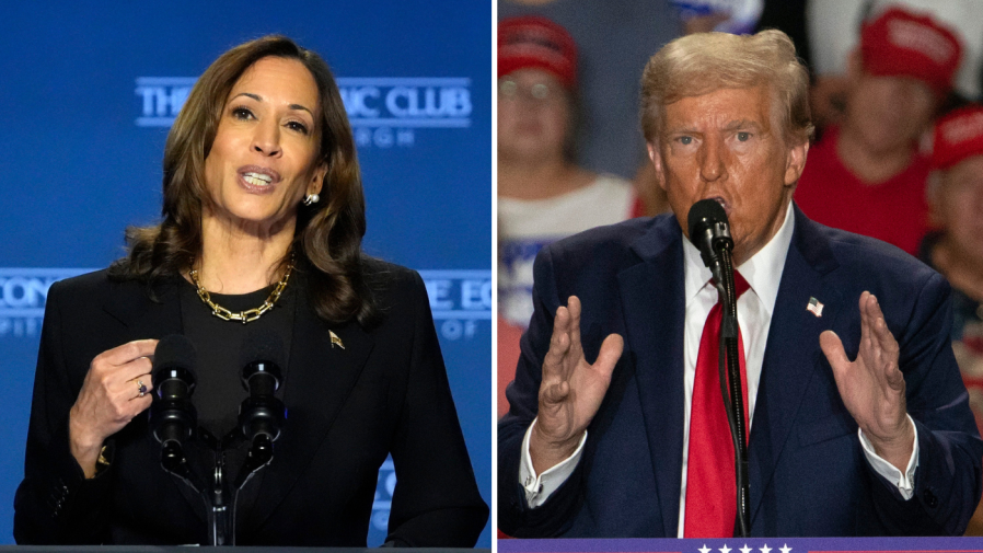 Harris Holds 3-point Lead Over Trump In National Survey