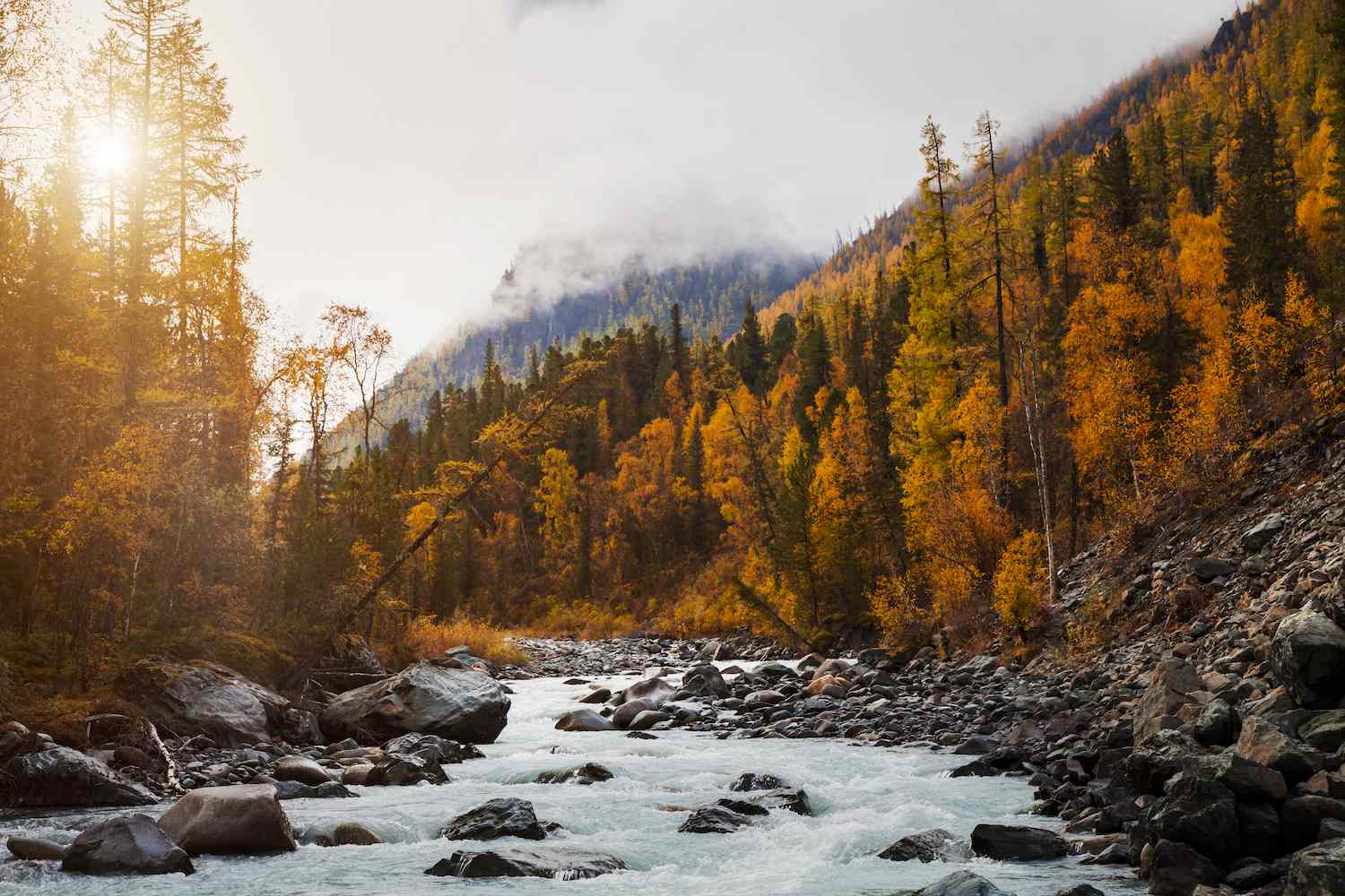 10 best hiking trails for gorgeous autumn leaves across the US and Canada
