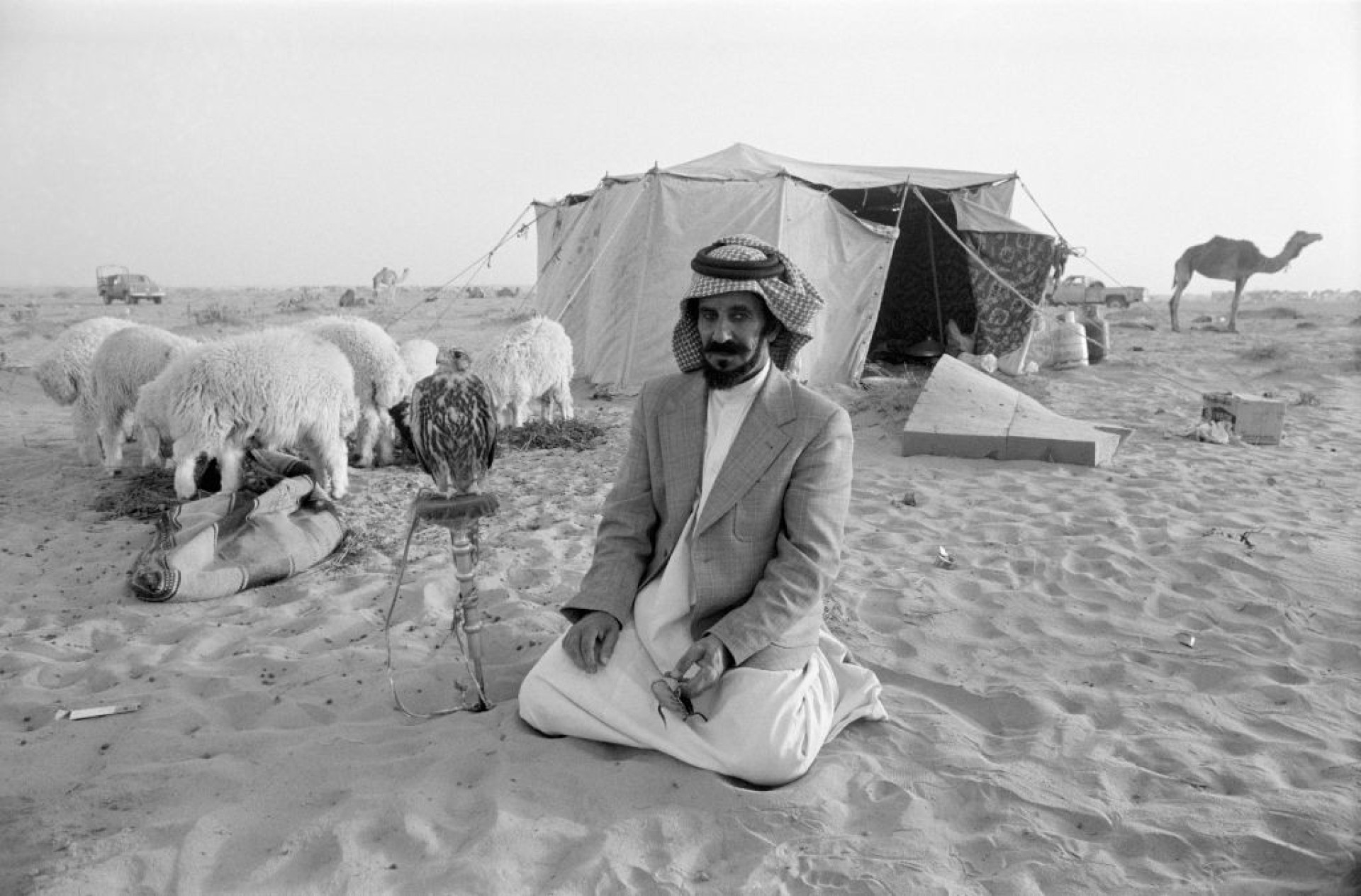 The Bedouin