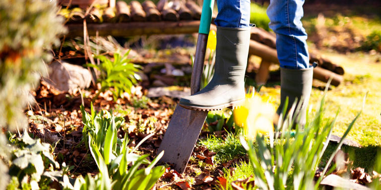 Ist es Ruhestörung? In diesen Fällen dürfen Sie am Feiertag im Garten