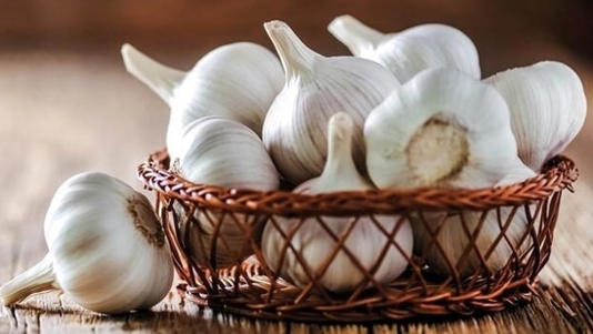 Navratri 2024: Why we don’t eat onion, garlic during Navratri? Experts share scientific reasons