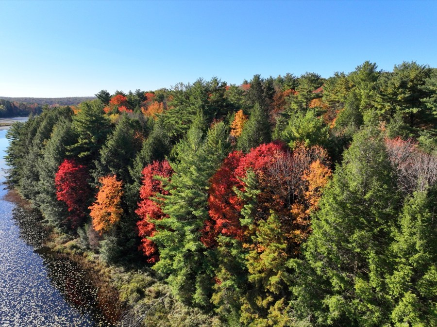 Pennsylvania Fall Foliage Report Here are the best places to see