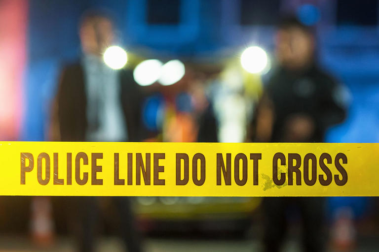 Calif. Woman Unable to Speak After Dog Attack Police