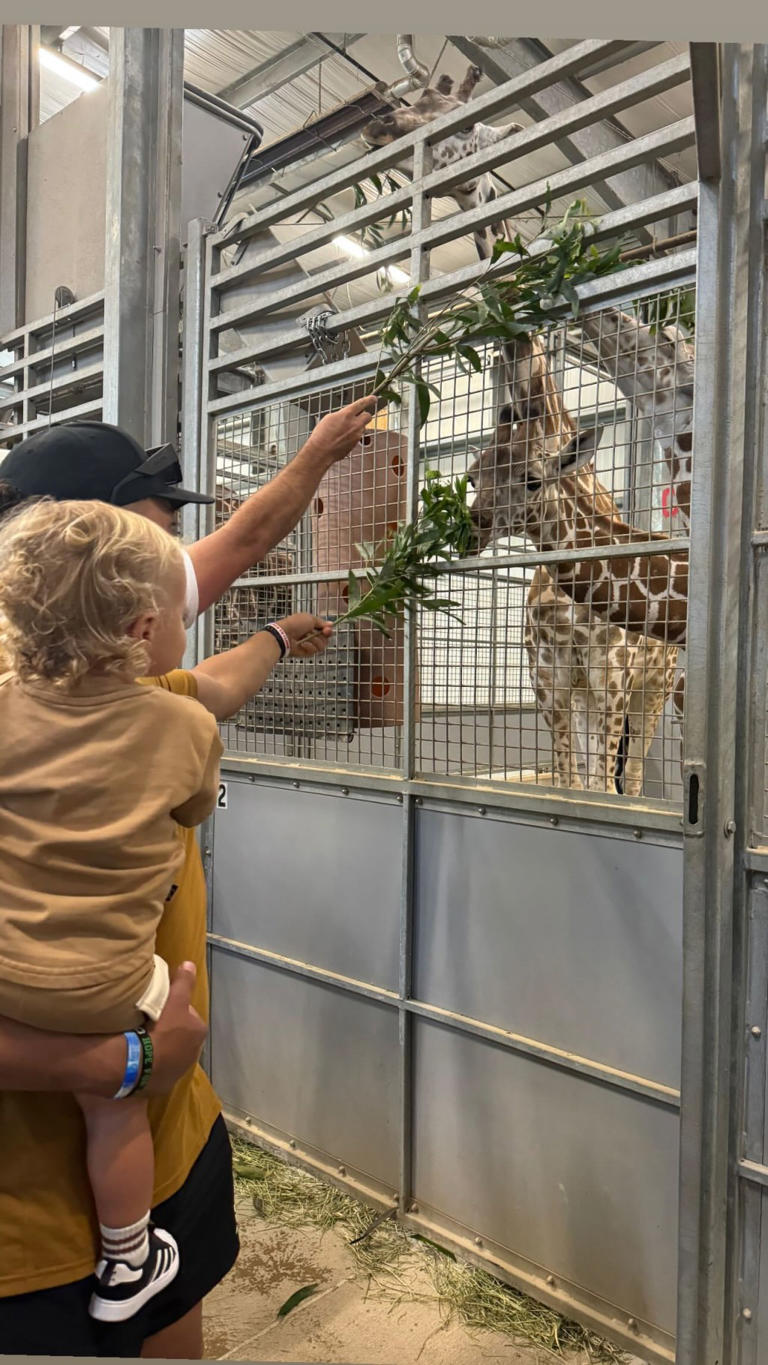 She shared photos of her husband and son feeding leaves to a giraffe. brittanymahomes/Instagram