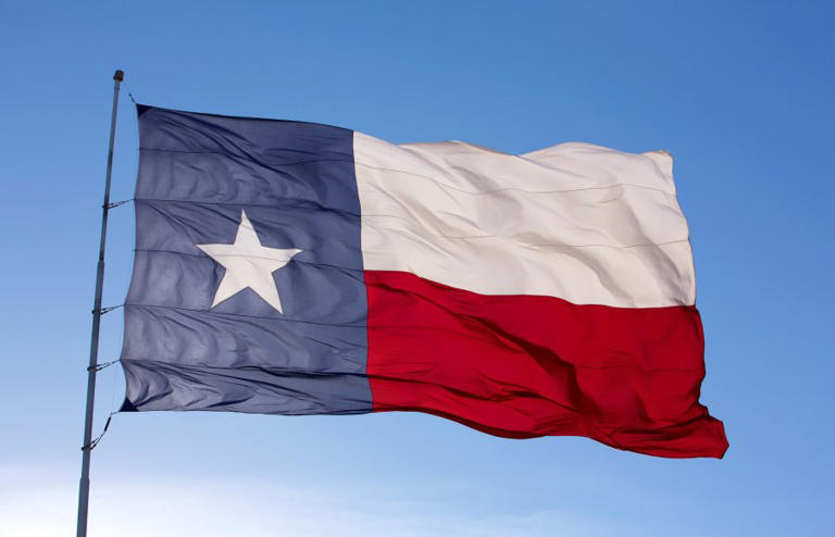 How Texas’ changing demographics can impact the election