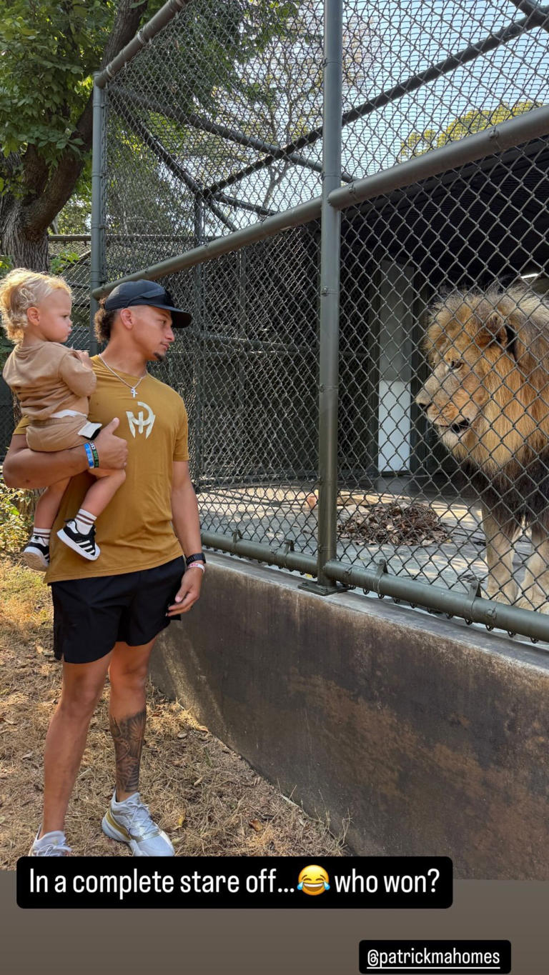 She joked that Bronze and Patrick were in a “stare off” with the lion. brittanymahomes/Instagram