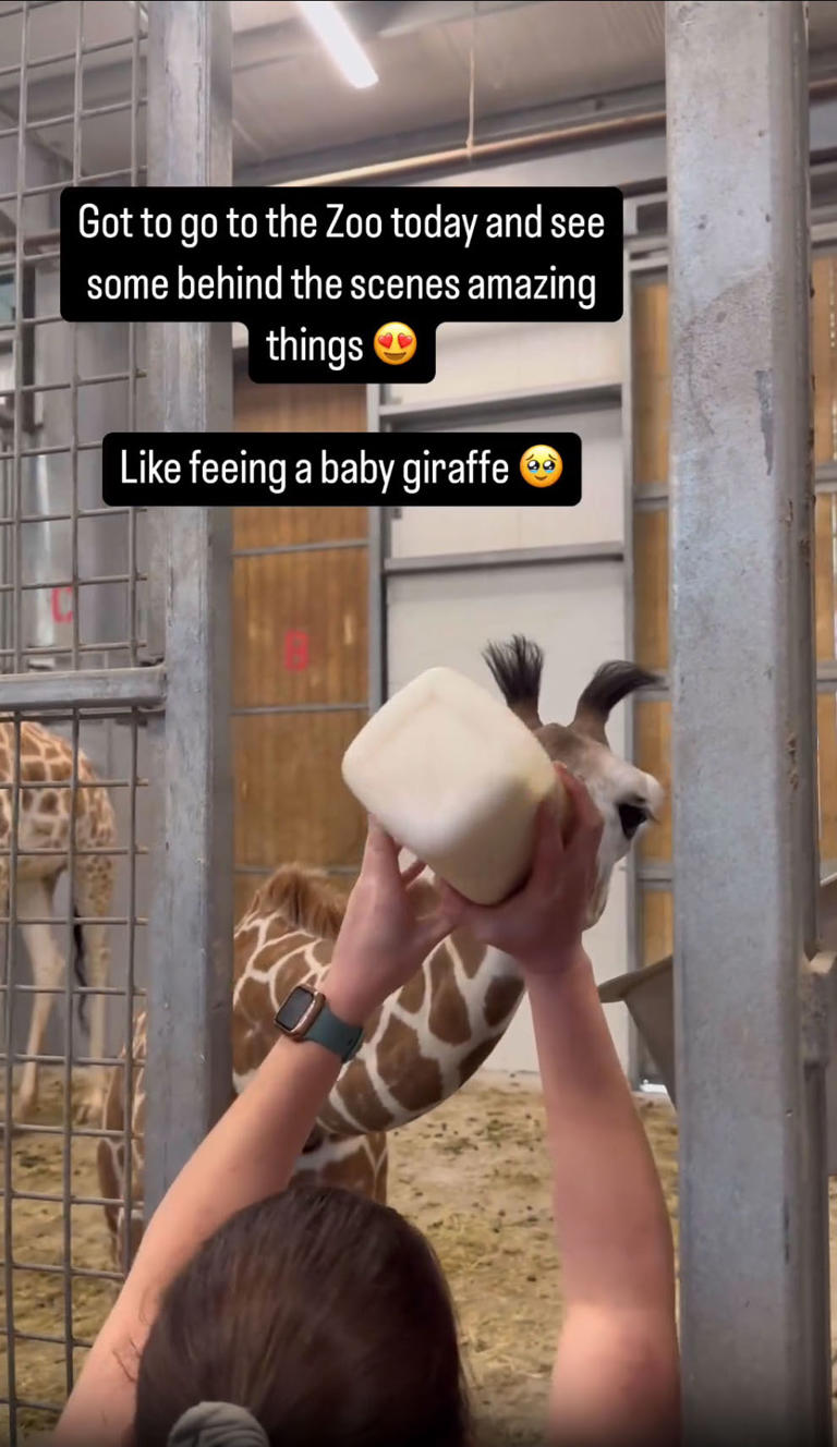 “Got to go to the Zoo today and see some behind the scenes amazing things Like feeing [sic] a baby giraffe,” Brittany wrote on Instagram. brittanymahomes/Instagram