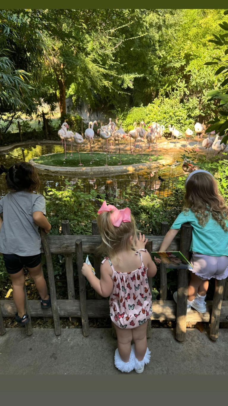 Sterling was captured studying a group of flamingos. brittanymahomes/Instagram