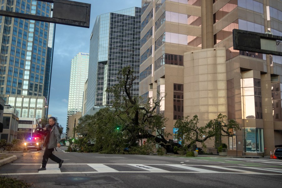 Downed trees Who is responsible for the cleanup?