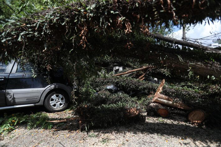 Tempestade derruba rvore sobre carros e obstrui a passagem na R. Cato, no bairro da Lapa, zona oeste de So Paulo Foto: Werther Santana/Estado