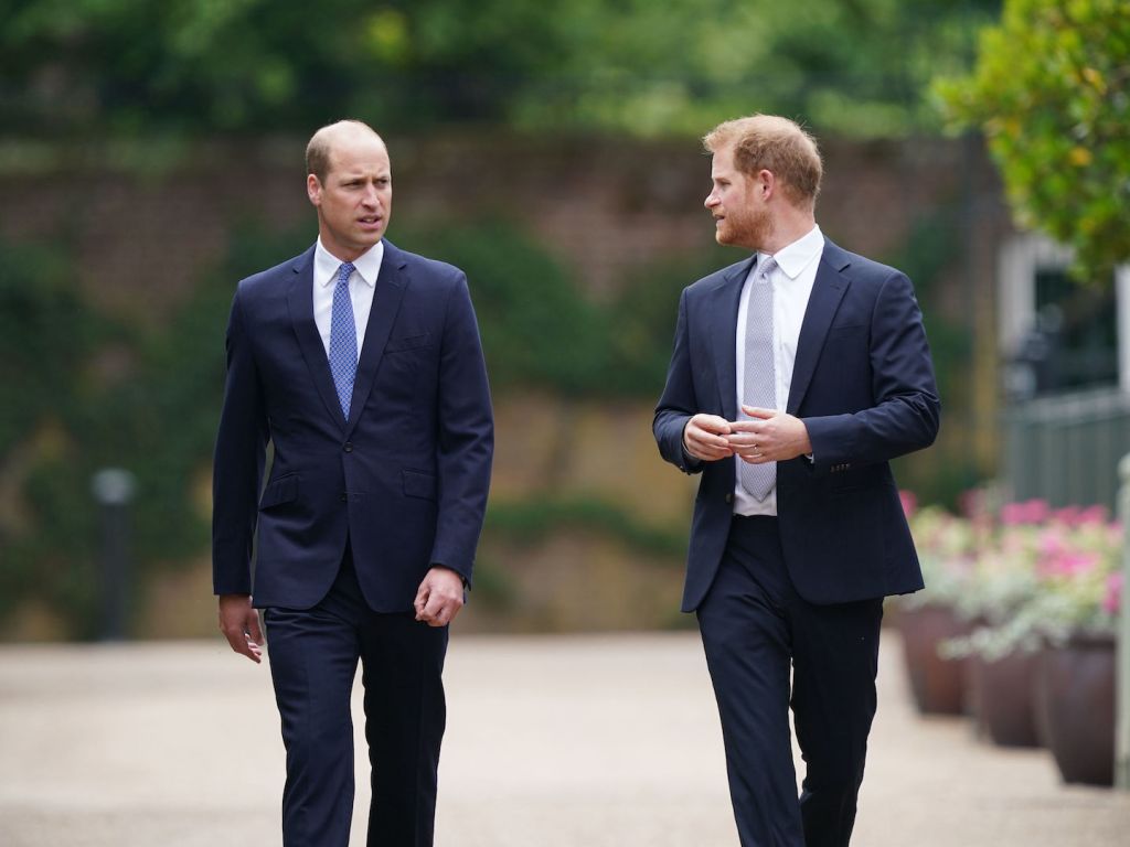 Prince Harry & Prince William's Tense Relationship Could Shift if This(02)