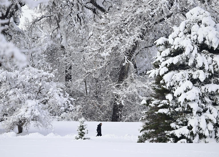 Colorado weather Another 10 inches of snow possible for San Juan