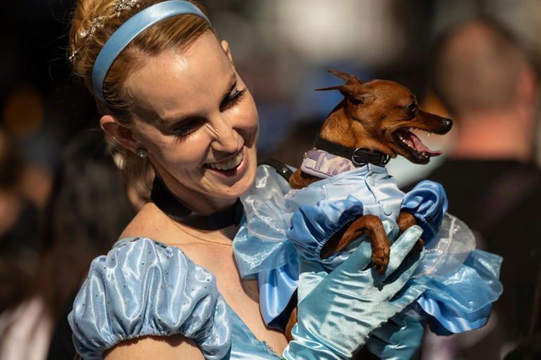 See it Dogs march through Tompkins Square Park in Halloween costumes