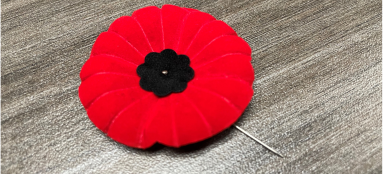 What does remembrance day mean to u