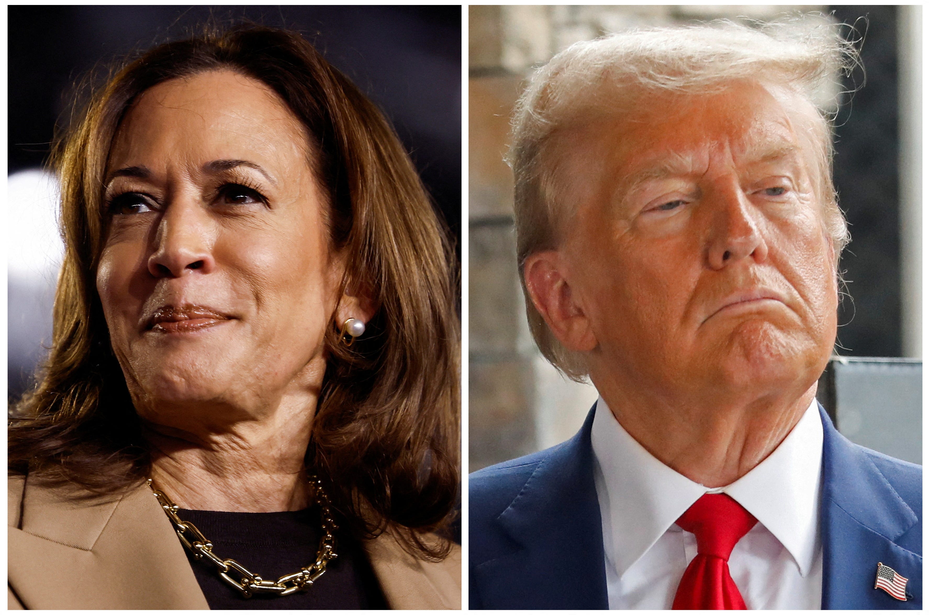 Trump And Harris Tied For Popular Vote In Latest Poll From New York ...