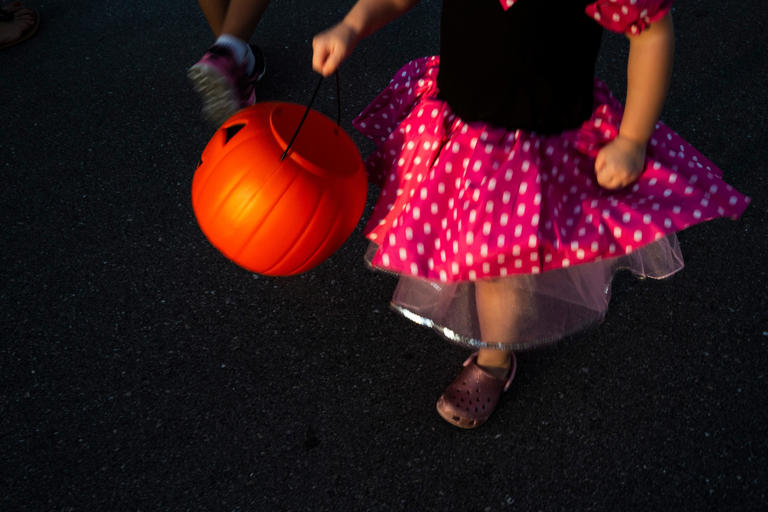 top-5-things-to-do-this-weekend-in-naples-naples-film-fest-halloween-fun