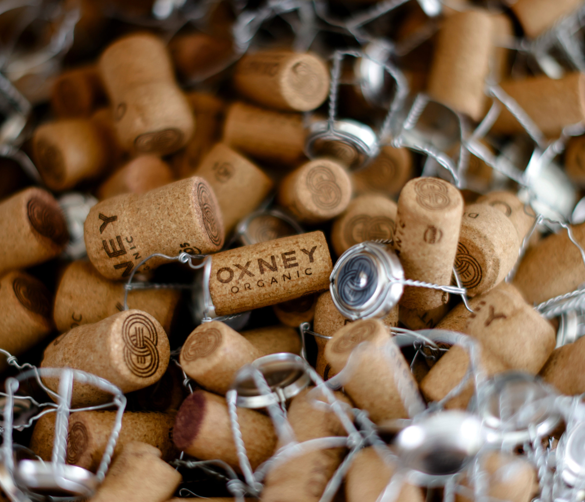 Four unanswered questions from the Epstein files