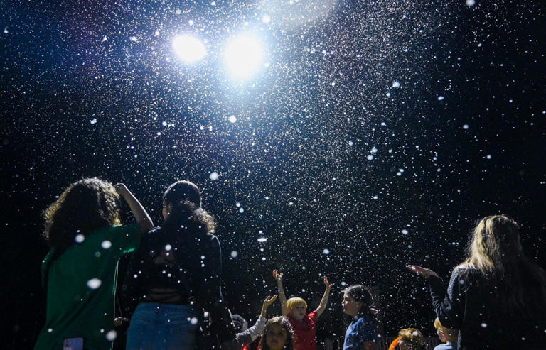 Holiday tree lightings, live music and even ice skating - Palm Beach ...