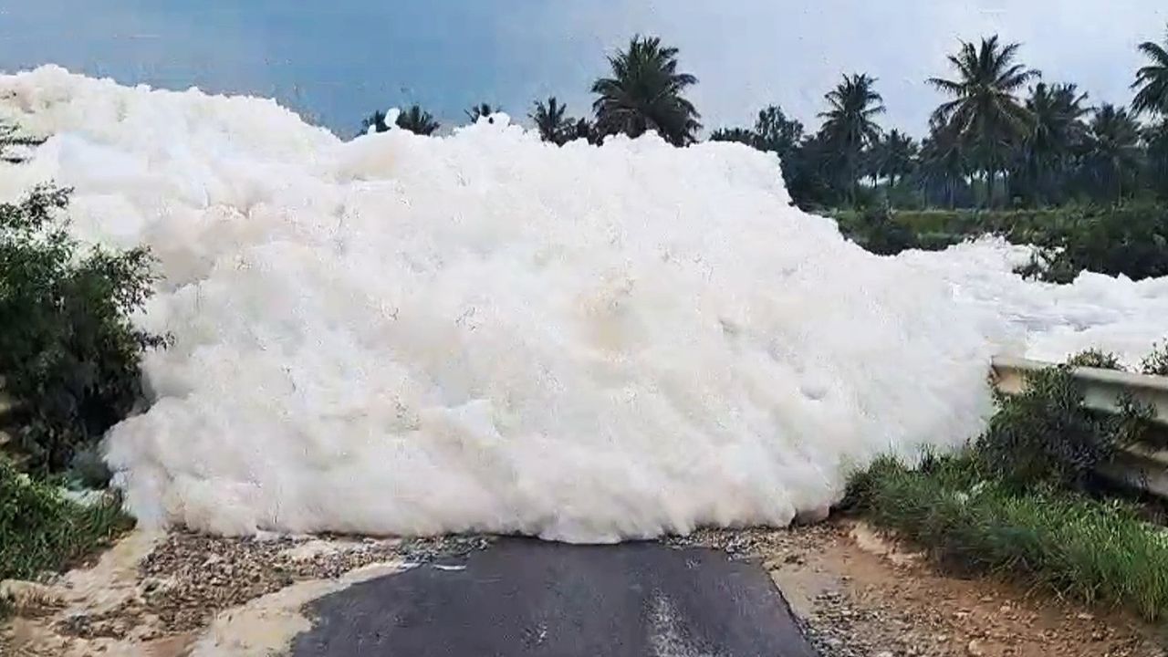 Nightmarish scenes as toxic foam piles up on roads in India