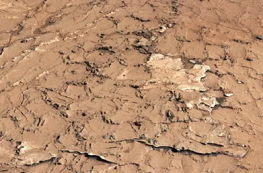 Hexagonal cracks discovered on Mars by NASA’s Curiosity rover could only have formed during long cycles of wet and dry conditions. (CREDIT: NASA/JPL-CALTECH/MSSS/IRAP)