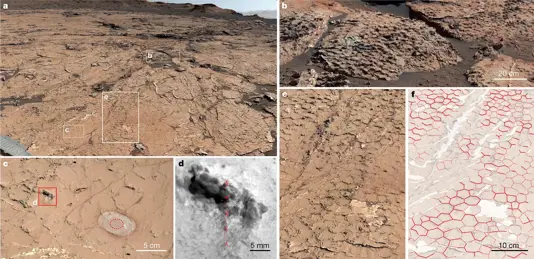 In situ observations of polygonal ridges. (CREDIT: Nature)