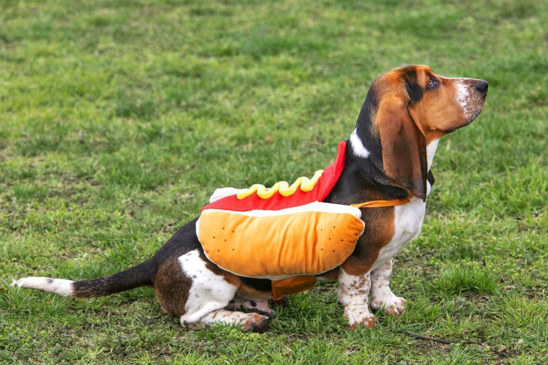These Halloween Dog Names Are Just as Spooky as They Are Sweet