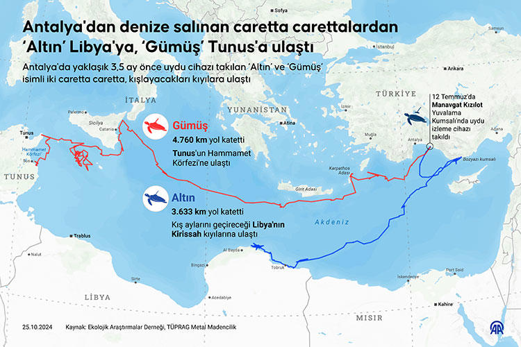 Anadolu Ajansı