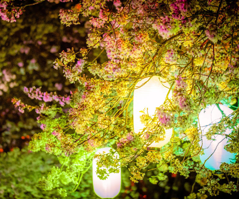 are-solar-lights-bad-for-plants-horticultural-pros-say-no-but-there