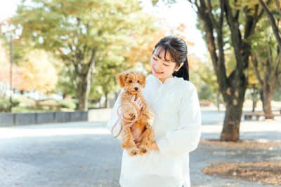 犬の『抱っこ』でしてはいけないNG行為４選 絶対に知っておくべき危険な抱き方とは？