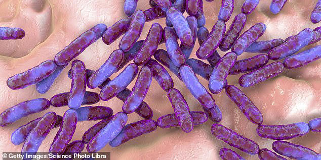 stress-causes-colorectal-cancer-by-disrupting-the-balance-of-gut